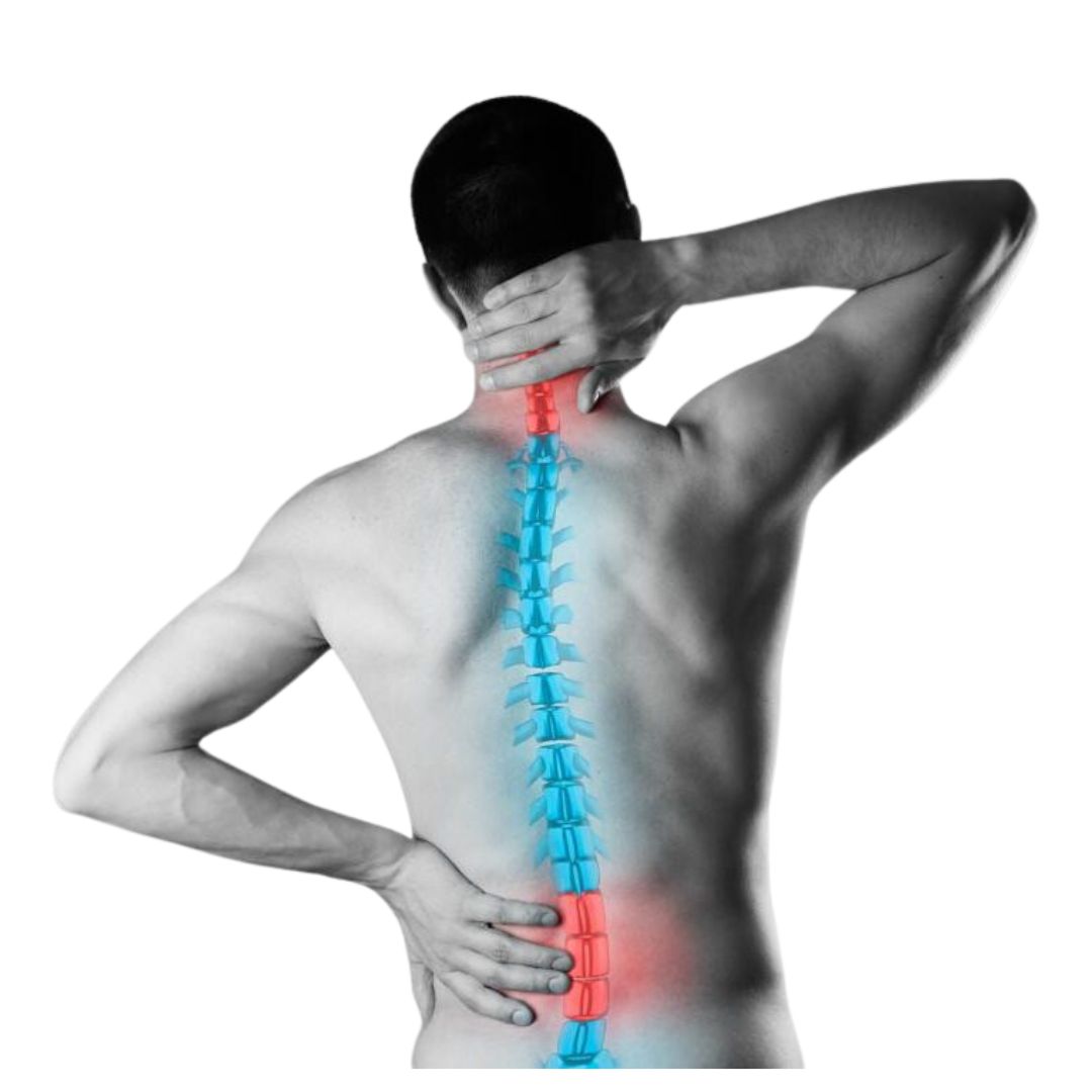 Spine TB